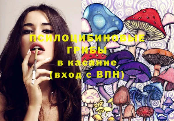 прущий лед Белокуриха