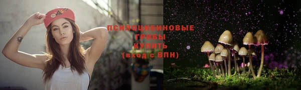 мескалин Беломорск