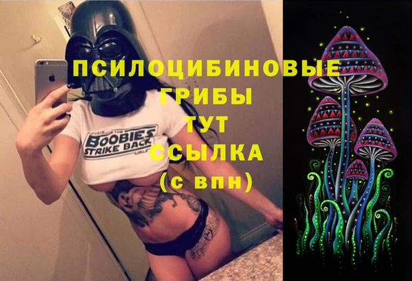 прущий лед Белокуриха